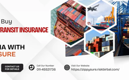 How to Buy Single Transit Insurance Online in India with ZippySure