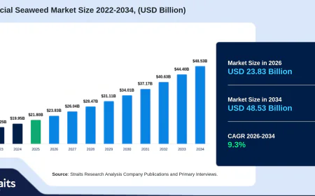 Commercial Seaweed Market Set to Transform Modern Food and Bioproduct Industries