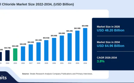 Polyvinyl Chloride Market Size, Share & Trends Analysis Report, Forecast 2034