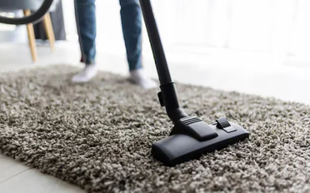 Why a Professional Upholstery Cleaning Company Makes All the Difference