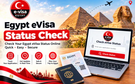 Egypt eVisa Status Check: Complete Egypt Visa Guide