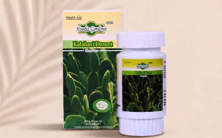 Hoodia Weight Loss: How to Build a More Realistic Daily Routine