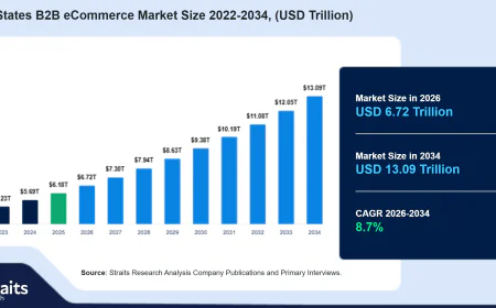 United States B2B eCommerce Market: Growth Trends and Industry Outlook