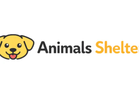 Animal Shelter Near Me: Finding a Safe Haven for Animals and a Loving Companion