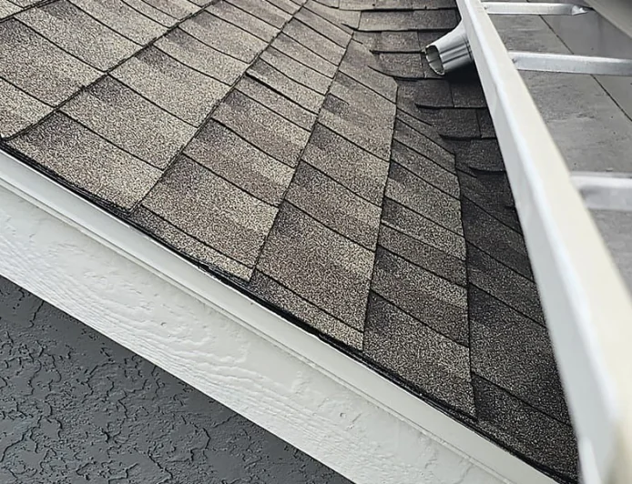 How Effective Gutters Protect Roofs and Prevent Costly Water Damage