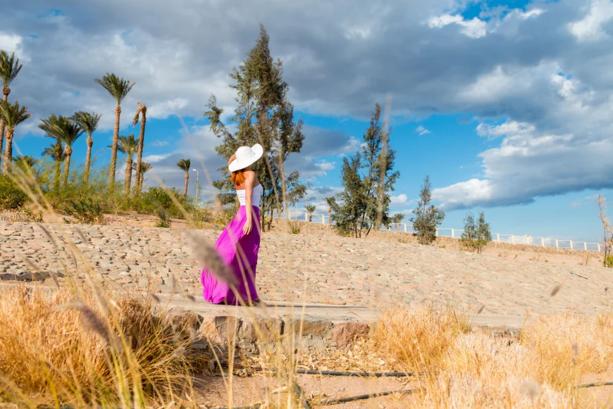 What Are the Best Ways to Explore Qatar as a Tourist?