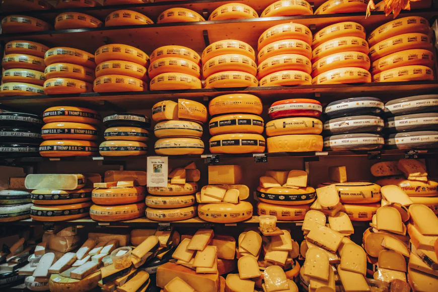 Specialty Cheese Market Size, Trends, and Growth Forecast 2026-2033