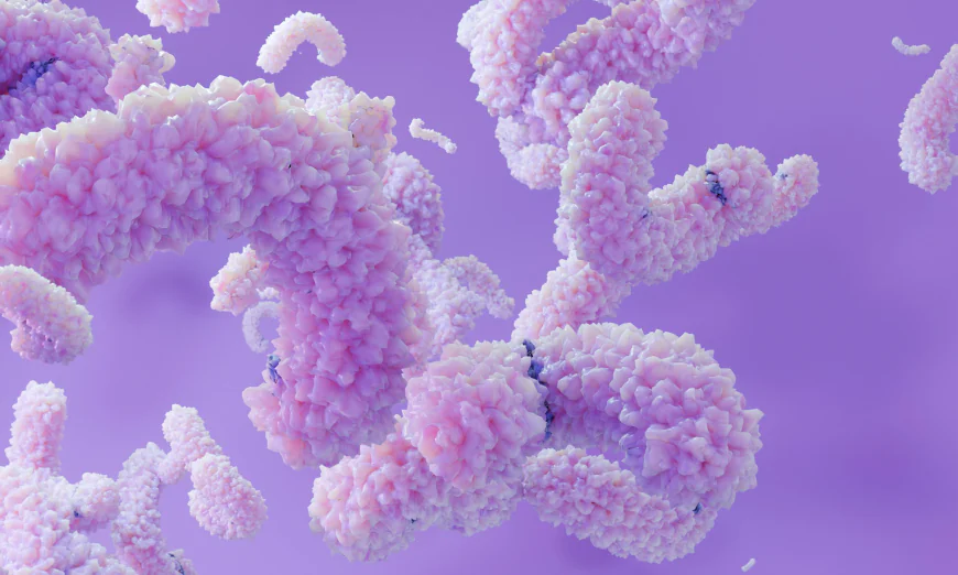 Carcinoembryonic Antigen (CEA) Market Size, Trends, and Growth Analysis 2026-2033