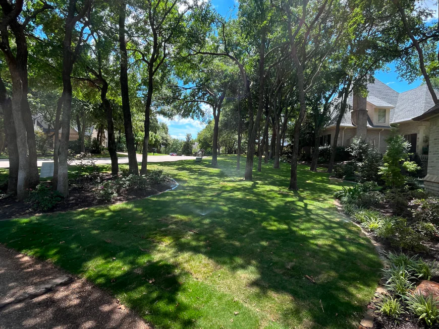 Beautiful, Practical Lawns: Sod and Artificial Grass for Dallas Homes