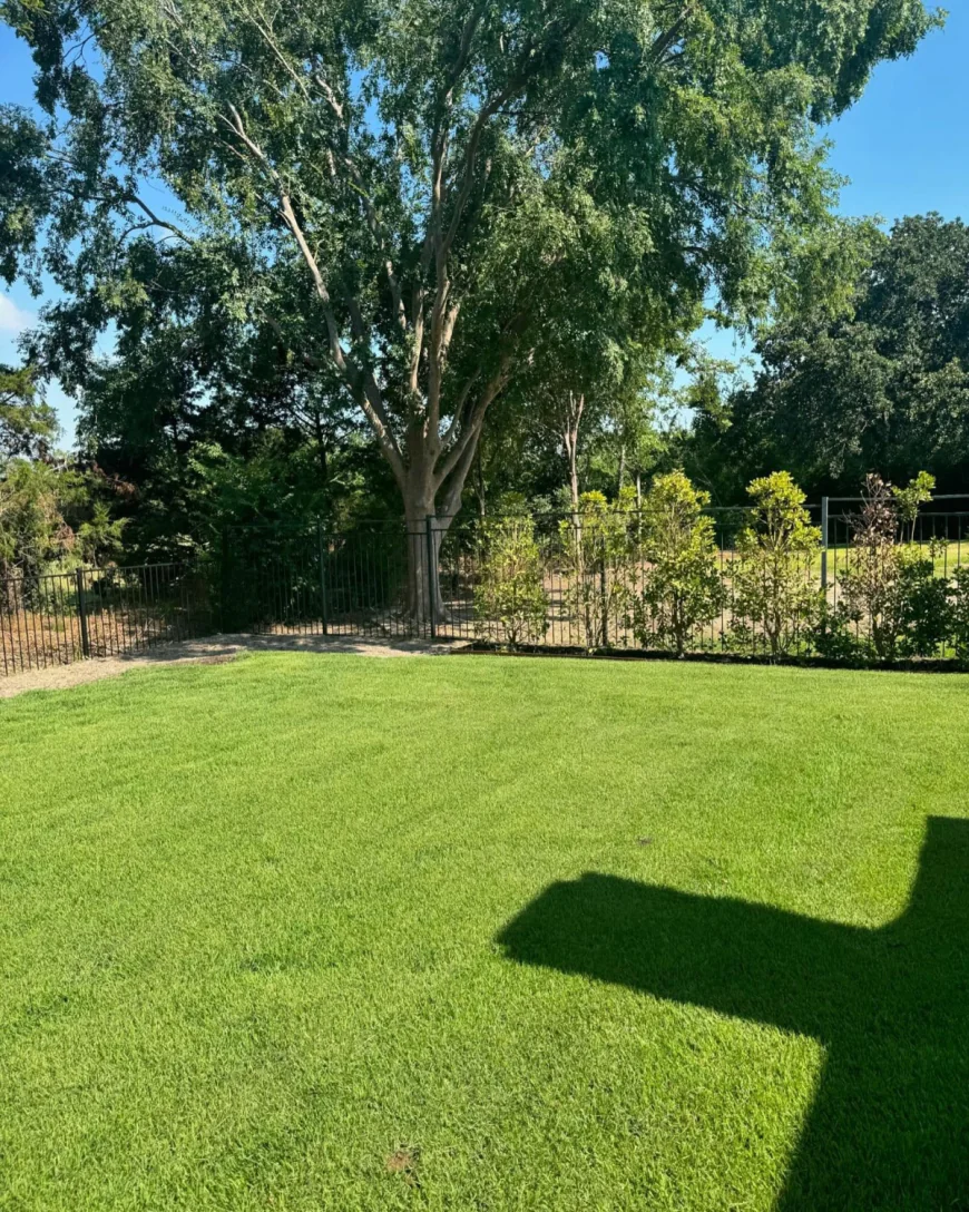 Artificial Turf Installation in Southlake TX or Sod Installation in Southlake TX: Choosing the Right Lawn