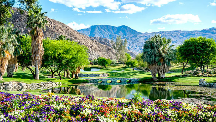 Discover Why a Palm Springs Vacation Is Worth Planning