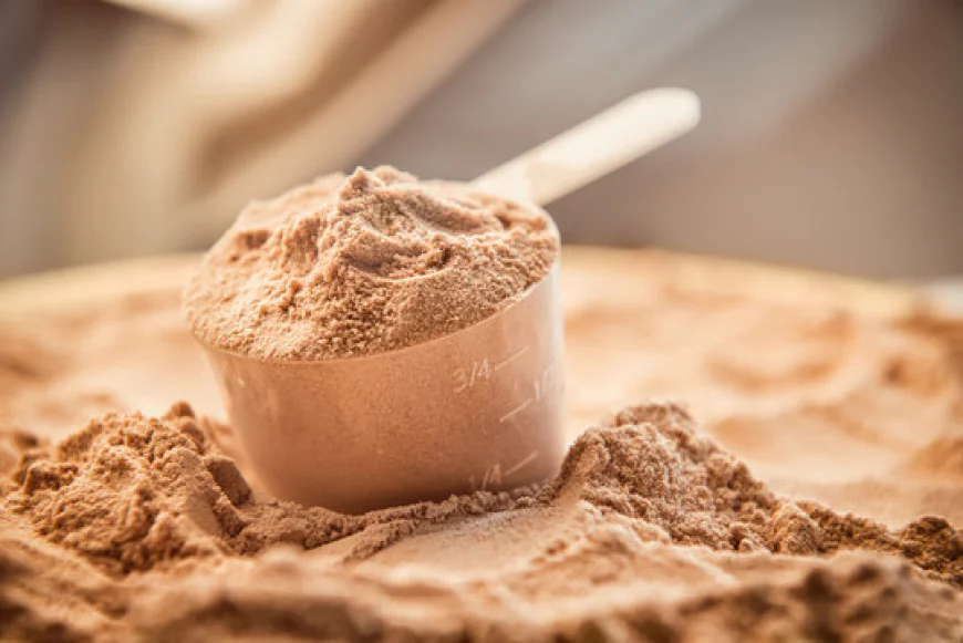 Whey Protein Industry Growth Driven by Rising Health and Fitness Awareness