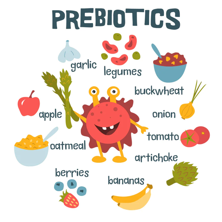 Prebiotics Market Growth: Key Trends, Opportunities, and Future Outlook