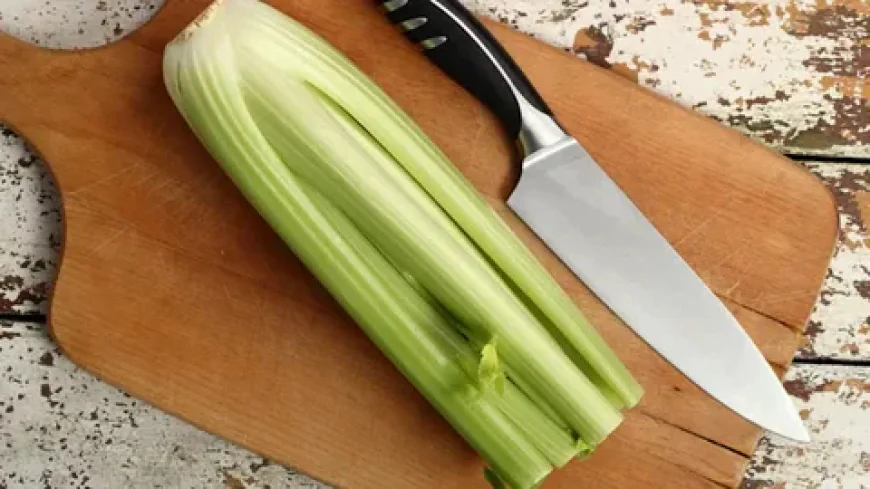 Celery for Dogs: Is It a Safe and Healthy Treat?