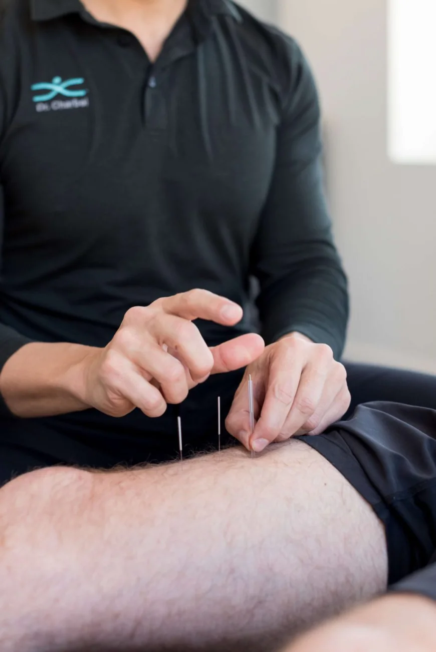 How Does Virtual Dry Needling Training Work?