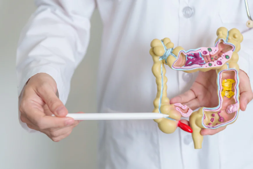 Understanding the Role of a Chemotherapy Specialist in Cancer Treatment