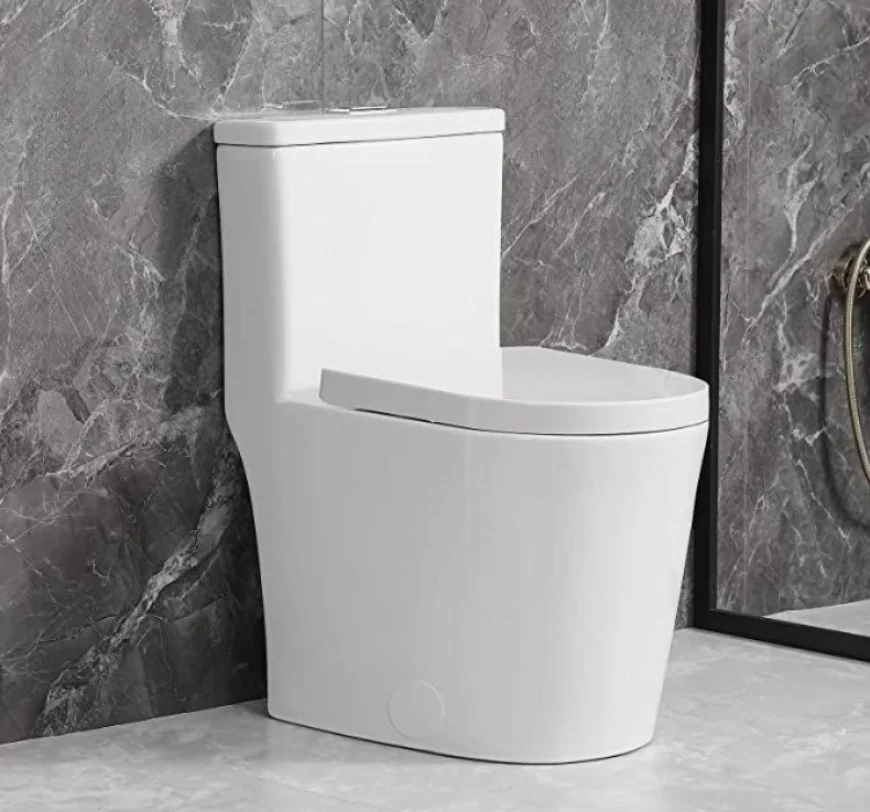 How One Piece Toilet Designs Improve Bathroom Style