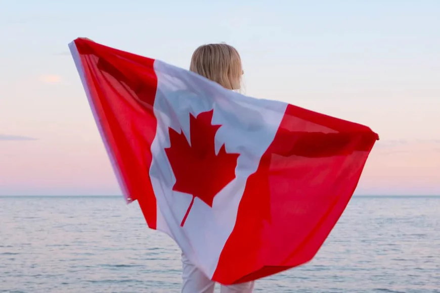 Looking for the Best Immigration Consultant in Calgary? Choose the Right Guidance for Your Canadian Immigration Journey