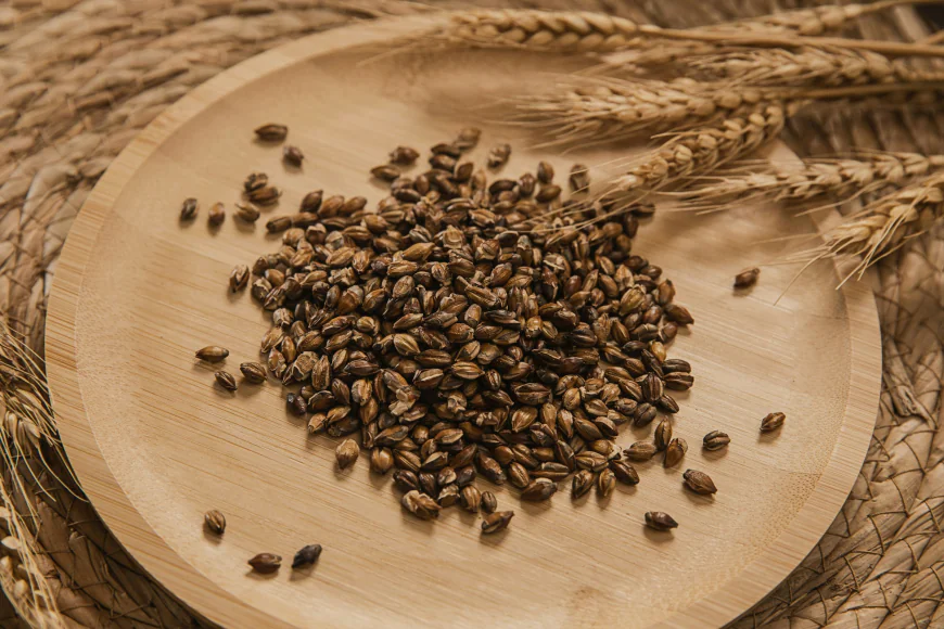 Specialty Malt Market Size, Trends, and Strategic Outlook 2026-2033