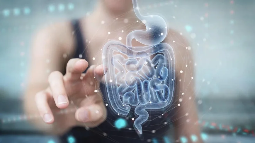 Gut Microbiome Test and What It Can Reveal