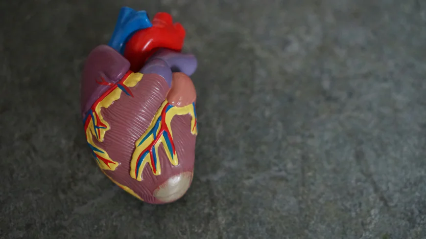 Cardiometabolic Diseases Market Size, Trends, and Strategic Outlook 2026-2033