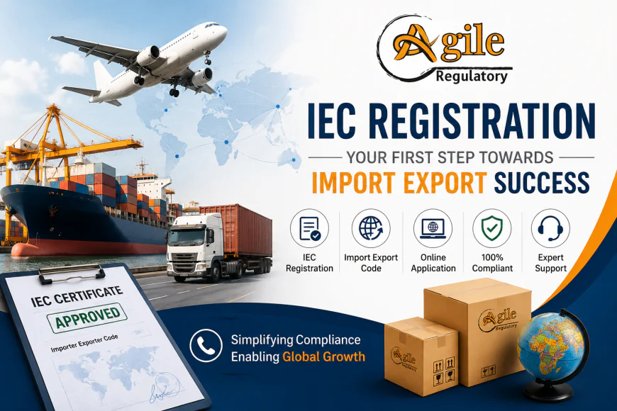 Import Export Code Registration and IEC Code Application: Complete Online Guide