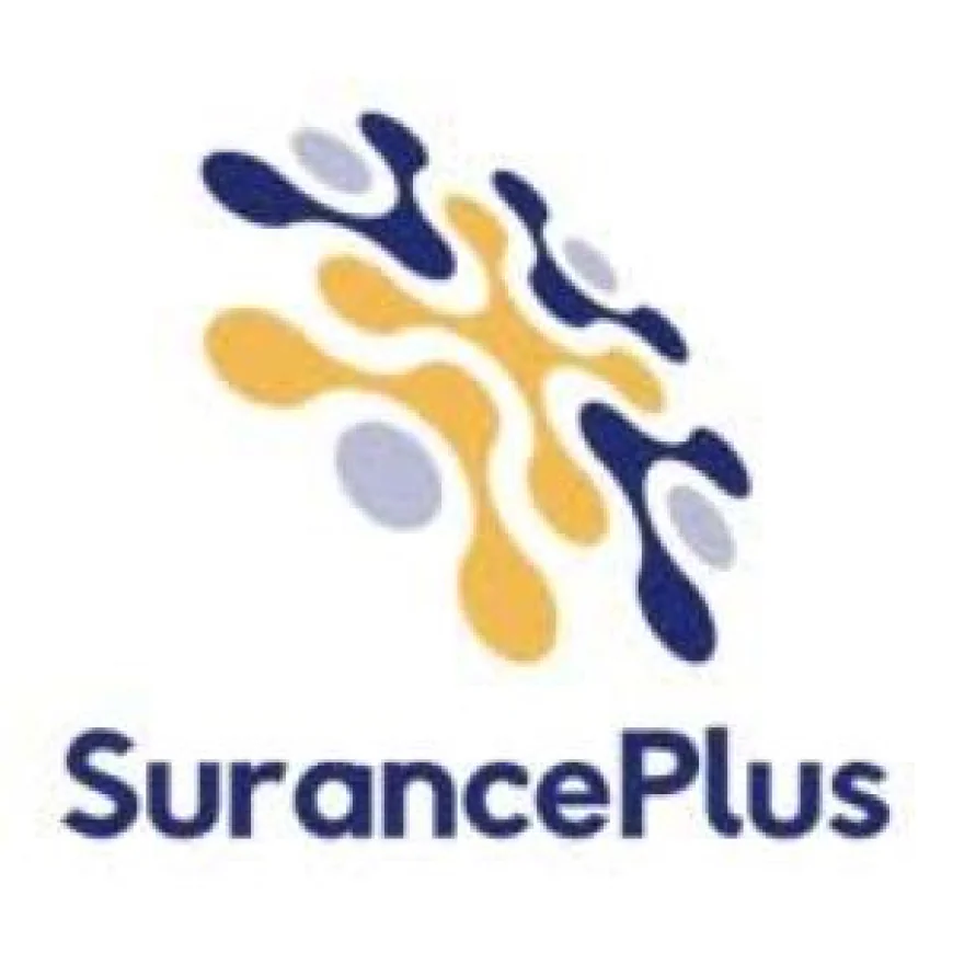 Insurance-Linked Investments: Exploring a New Approach to Alternative Investment Opportunities