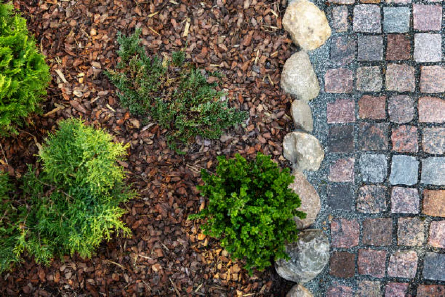 How Does Mulch Improve Your Cotuit MA Landscape?