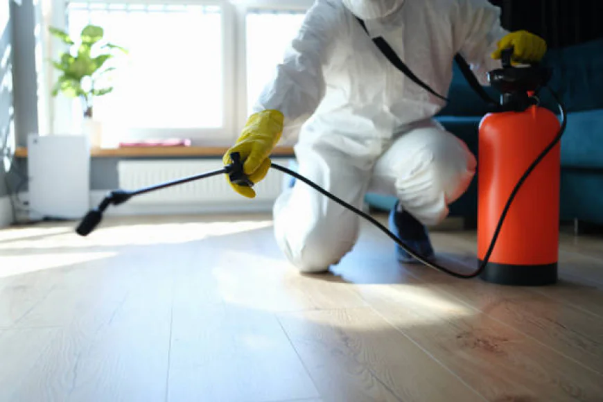 How to Keep Your Pembroke Pines Home Pest Free All Year?