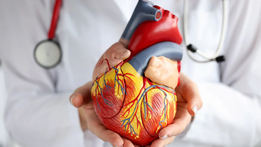 Looking for a Hospital in Chandigarh for Heart Care? Choose Expert Cardiac Care at Kare Partners Heart Centre