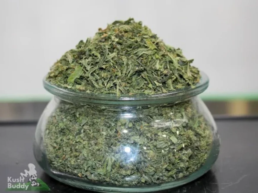 Buy Elite Cannabis Shake Weed Fast Delivery in Toronto