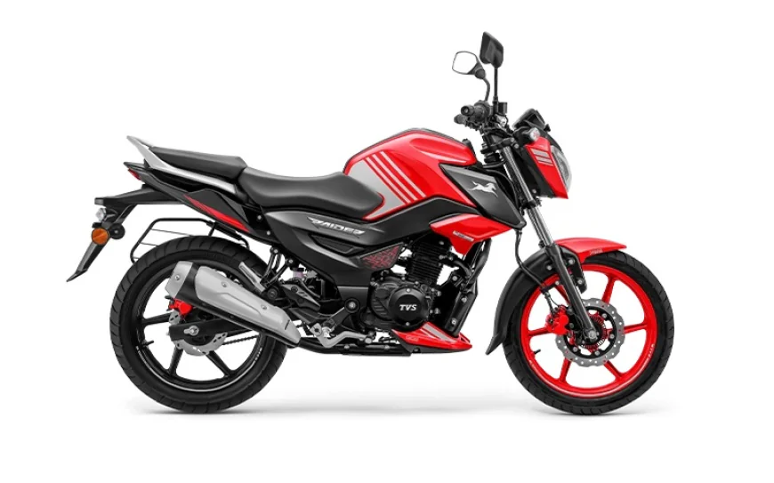 Is the TVS Raider 125's Personality Real or Just a Sticker Job?