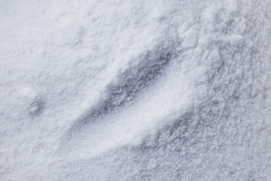 Alumina Trihydrate Market: Size, Trends, and Strategic Insights 2026-2033