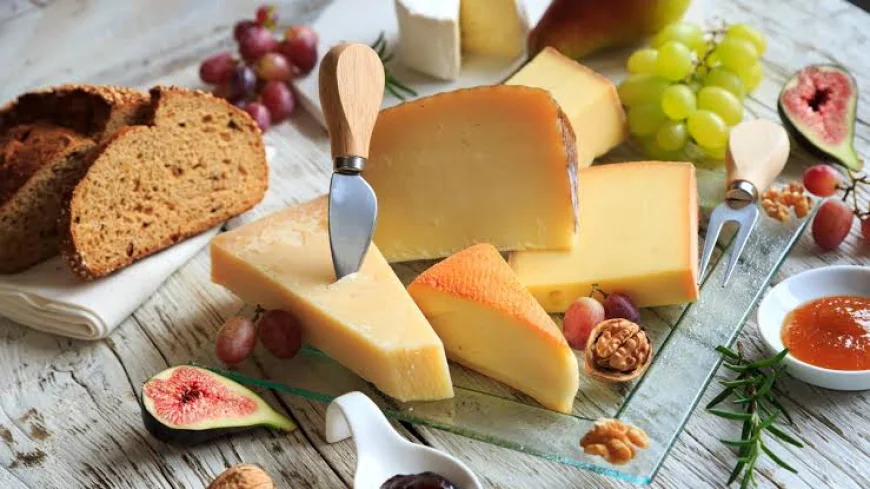 Global Cheese Market Size, Trends, and Growth Forecast 2026-2033