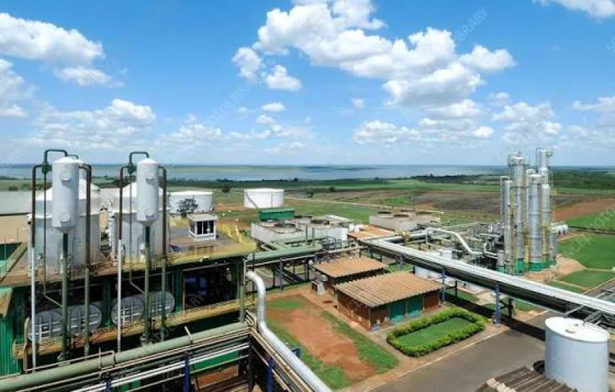 Brazil Biofuels Market Growth, Size, and Strategic Outlook: 2026-2033