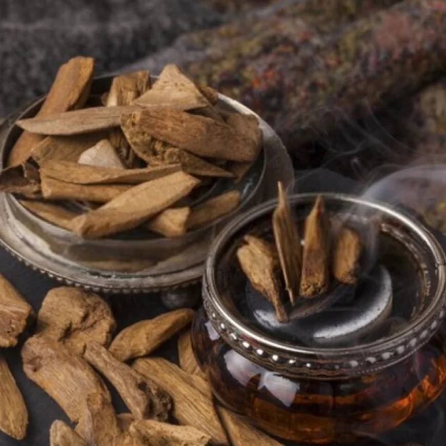 Agarwood Wholesale Supplier for Global Buyers