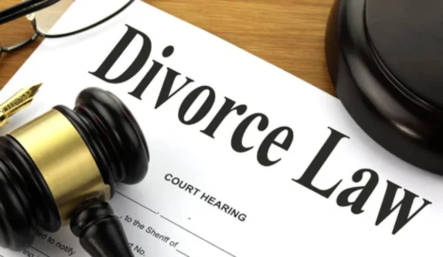 How to Choose the Best Divorce Lawyer San Diego for Your Family Law Needs