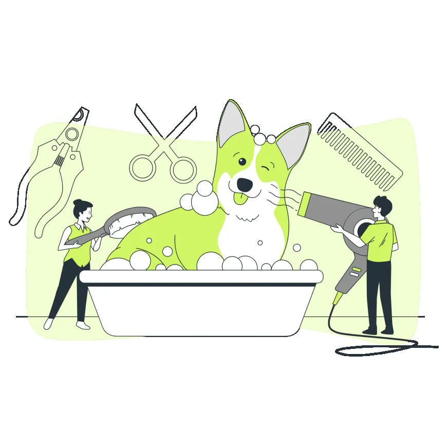 How a Pet Marketing Agency Helps Pet Care Businesses Grow Online