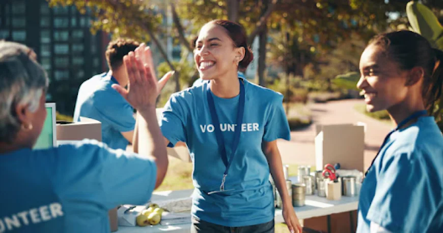How Nonprofit Formation Services Simplify Starting a Charity