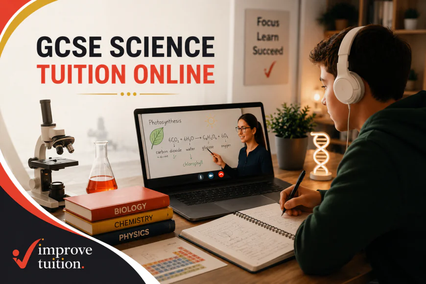 Best Online A Level Biology Tutor: How to Choose the Right Tutor for A Level Success