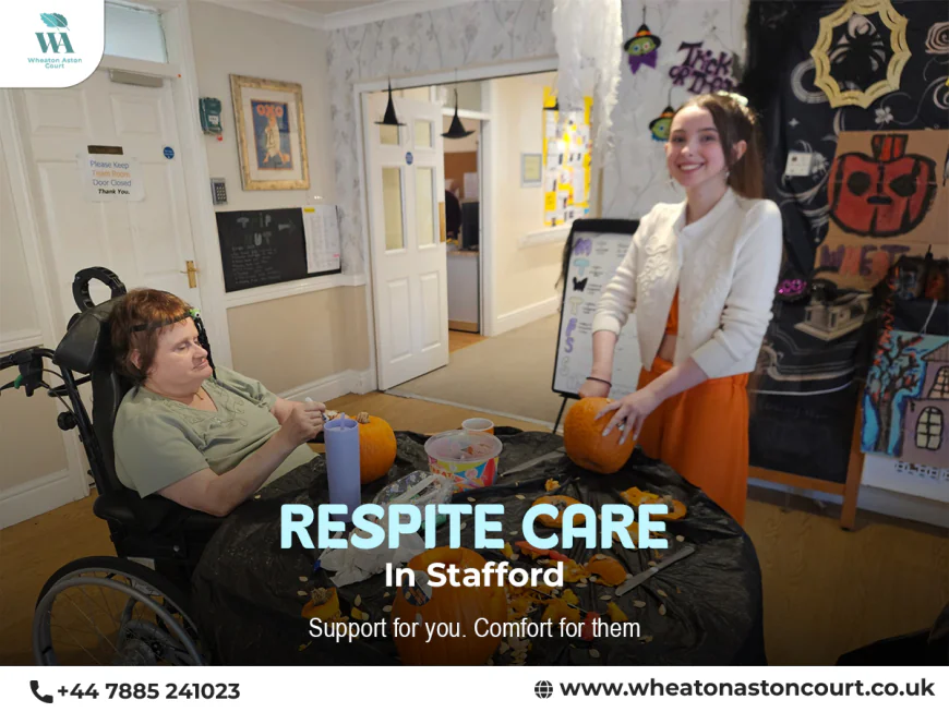 Understanding Palliative Care and Choosing the Right Support for Loved Ones