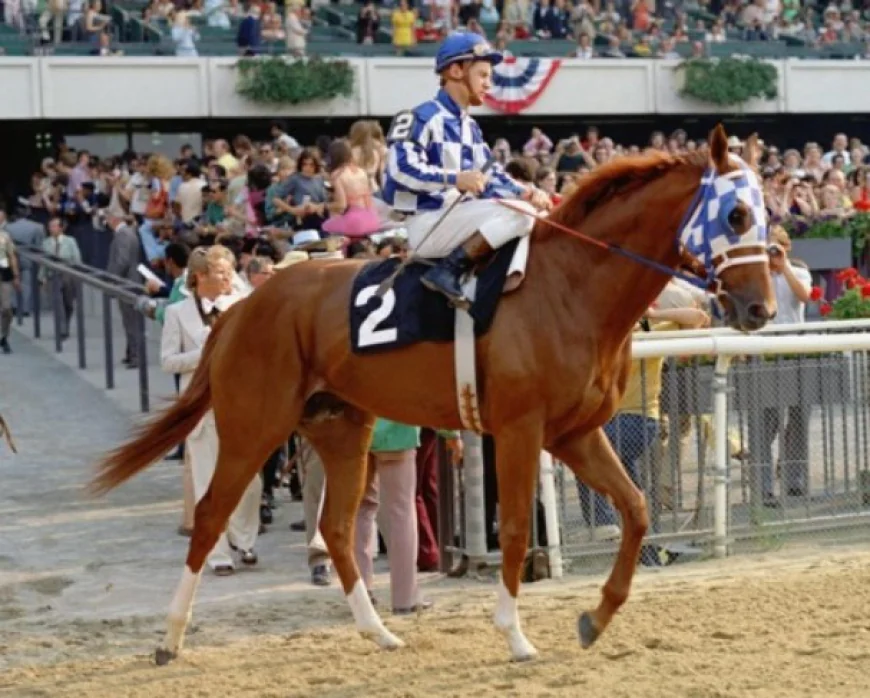 Why RWITC Mumbai Remains the Heart of Indian Horse Racing