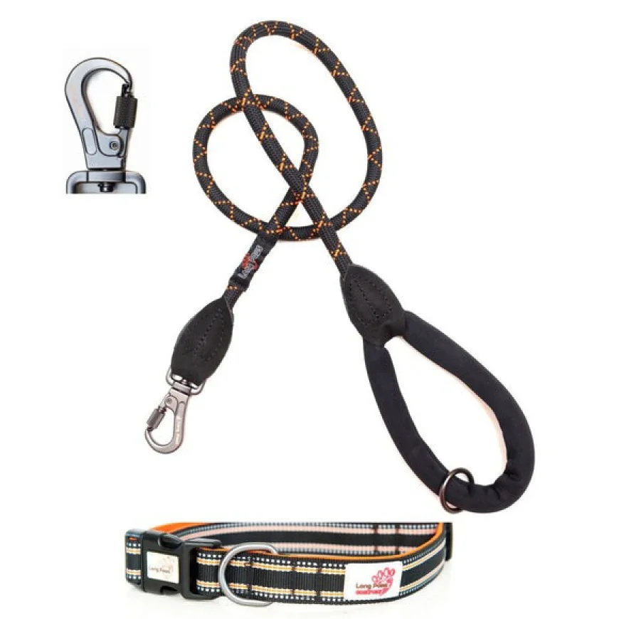 Pretty in Pink: Choosing Comfortable Dog Walking Gear for Everyday Adventures