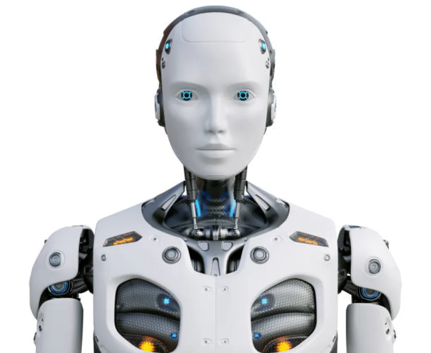 Global Humanoid Robot Market Size, Trends, and Growth Forecast 2026-2033