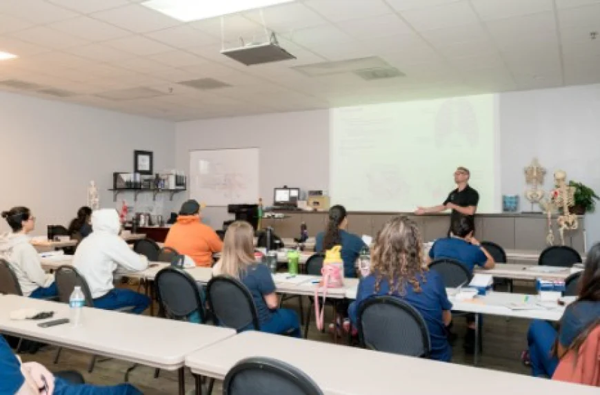 Massage Schools in San Antonio: What to Know Before Enrolling