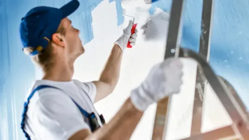 How to Find the Best Painter Near Me for Quality Painting Services