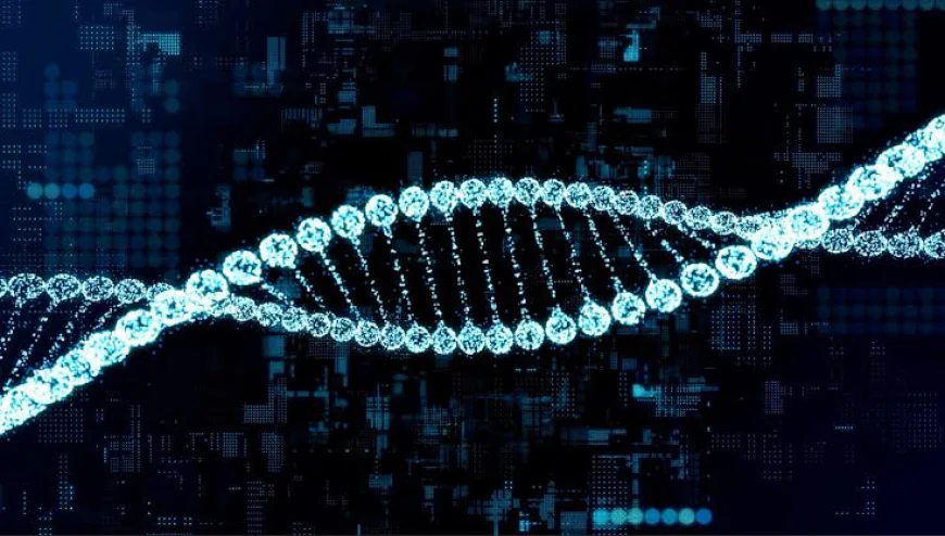 Non Viral Transfection Reagents Market Size, Share, Trends, and Growth Forecast 2026-2033