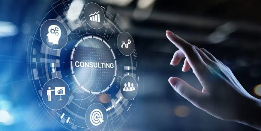 How Expert Consultation Helps Reduce Business Risks