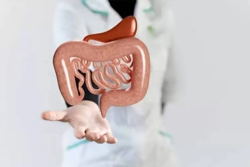 Questions to Ask a Gastroenterologist Near Me at Visits