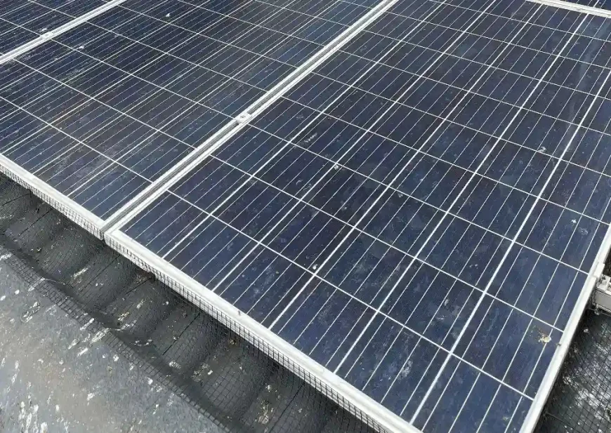 Fast, Emergency Solar Panel Bird Proofing Melbourne Solutions | Tom's Pest Control Melbourne